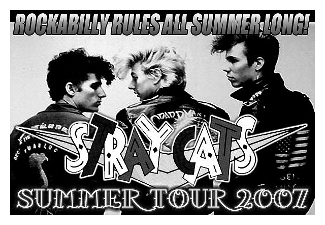 stray cats download free